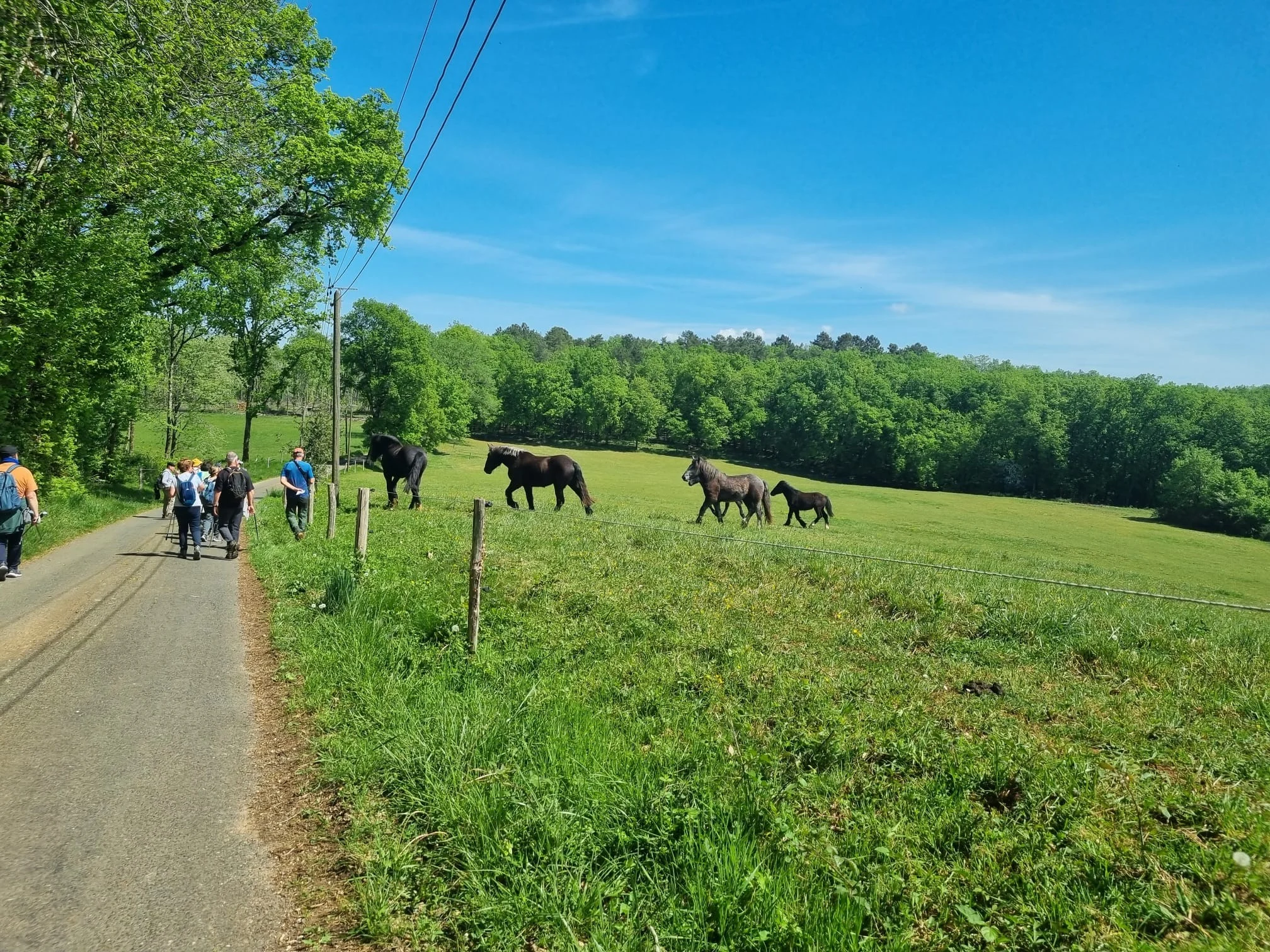 Whatsapp image 2026 04 20 at 16 11 37 5jpeg