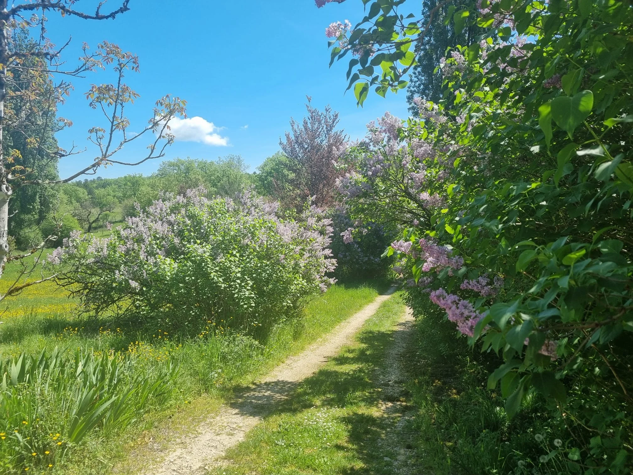 Whatsapp image 2026 04 20 at 16 11 38 6jpeg