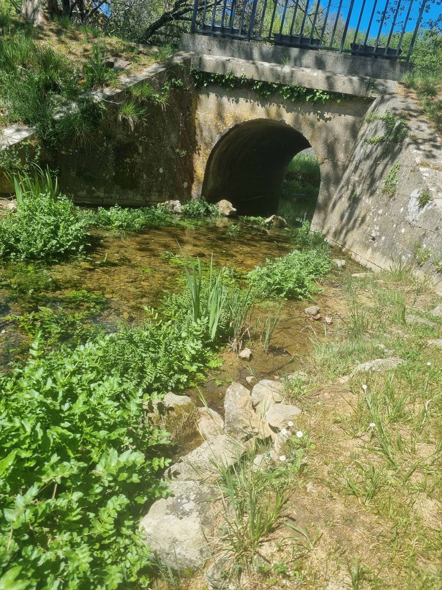 Whatsapp image 2026 04 20 at 16 11 39 7jpeg