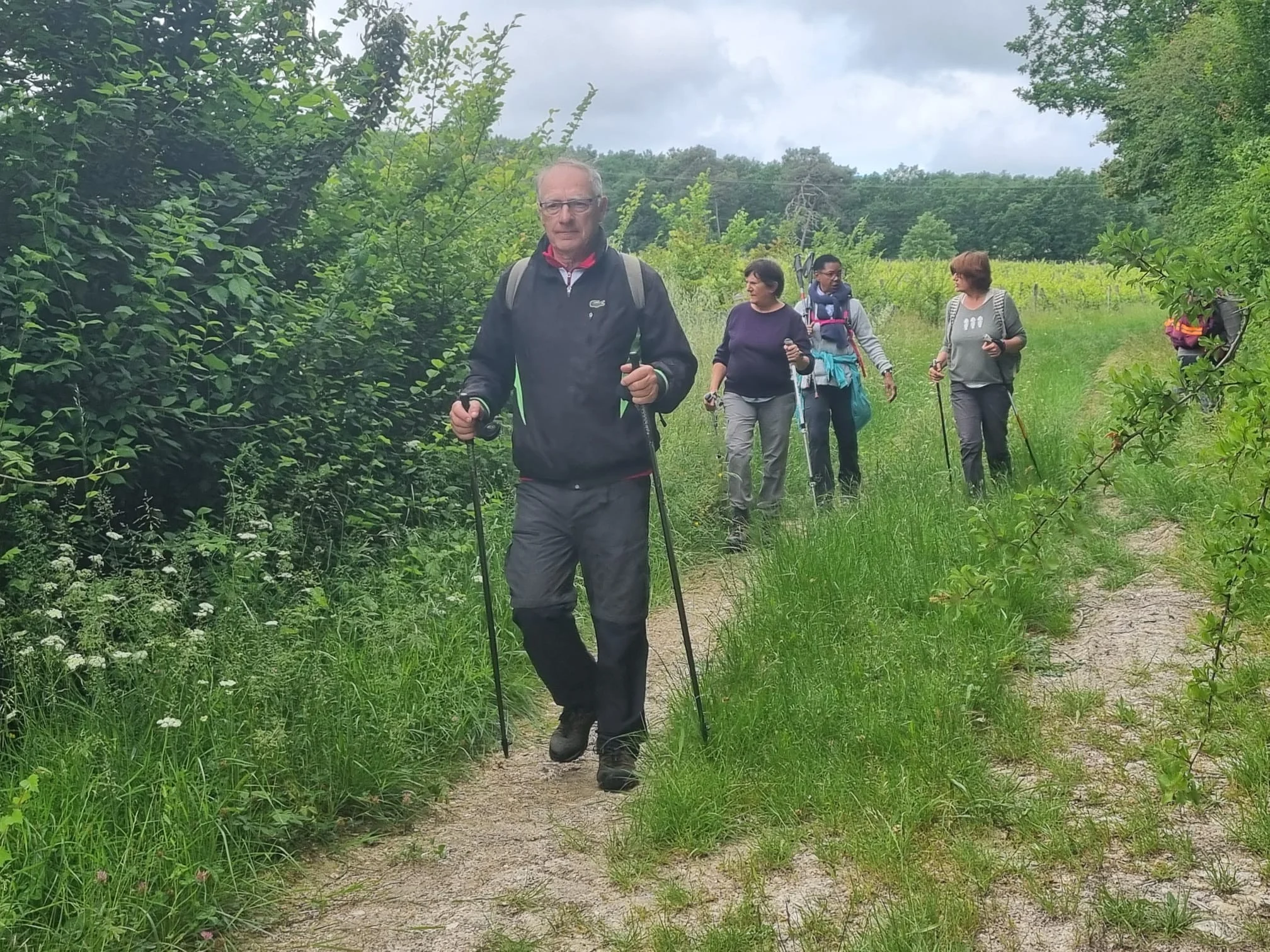 Whatsapp image 2026 05 17 at 15 35 46 2 