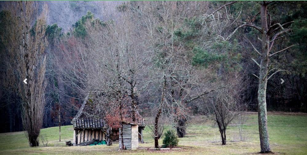 Screenshot 20241228180349