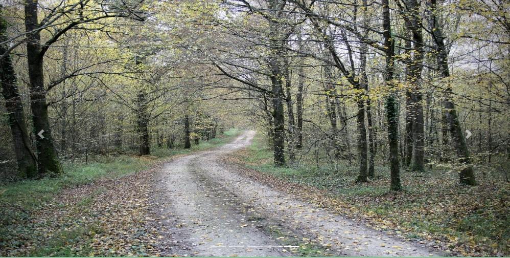 Screenshot 20241228180457