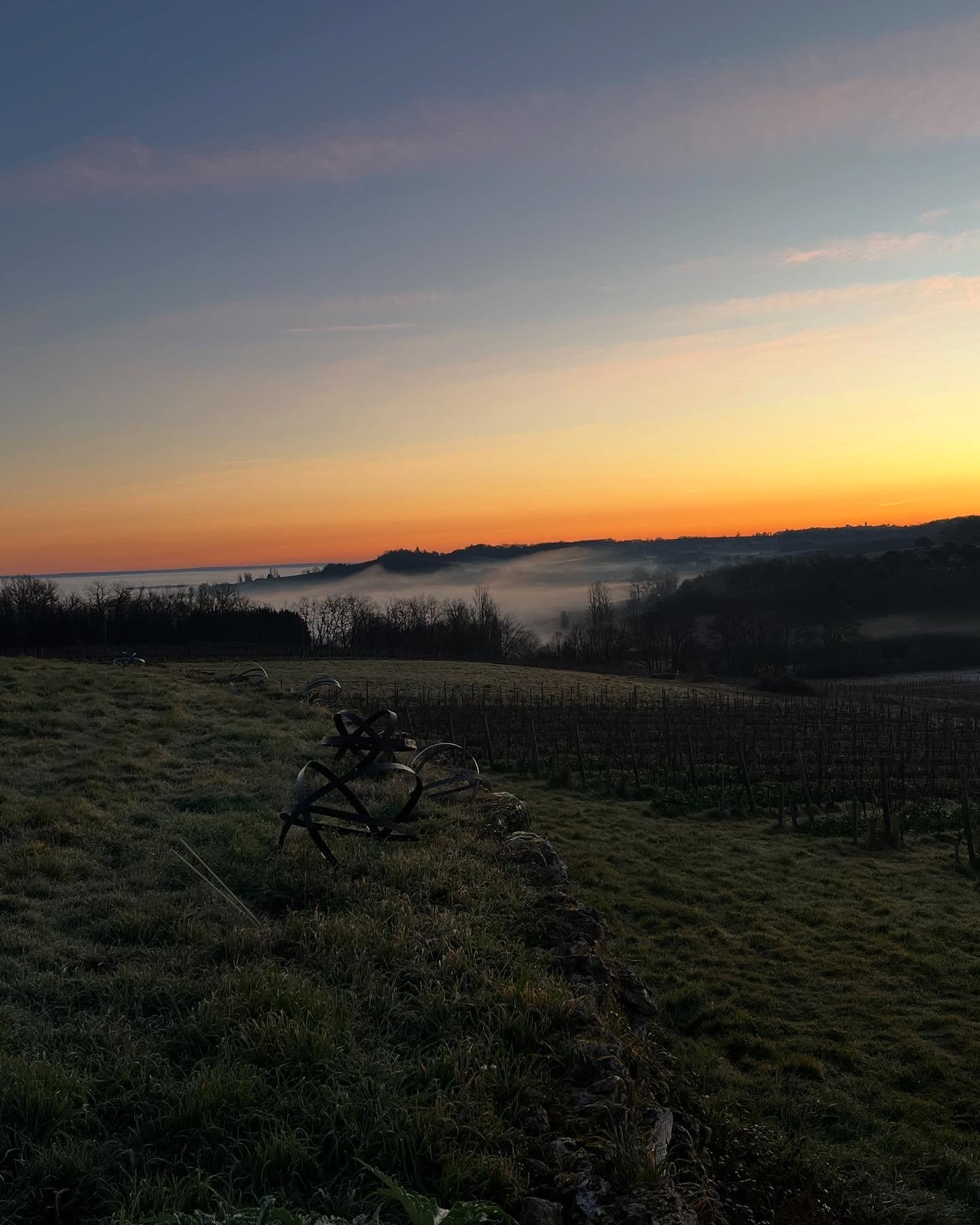 Vignes2 les arpettes